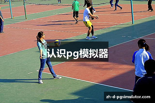 认识pg模拟器